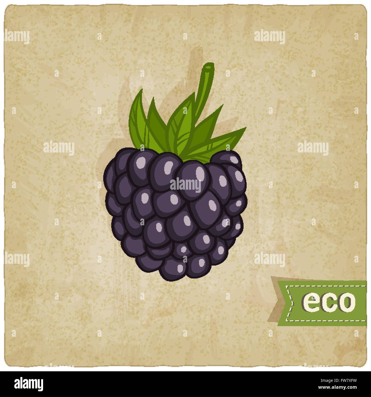 BlackBerry Eco Hintergrund - Vektor-Illustration. EPS 10 Stock Vektor