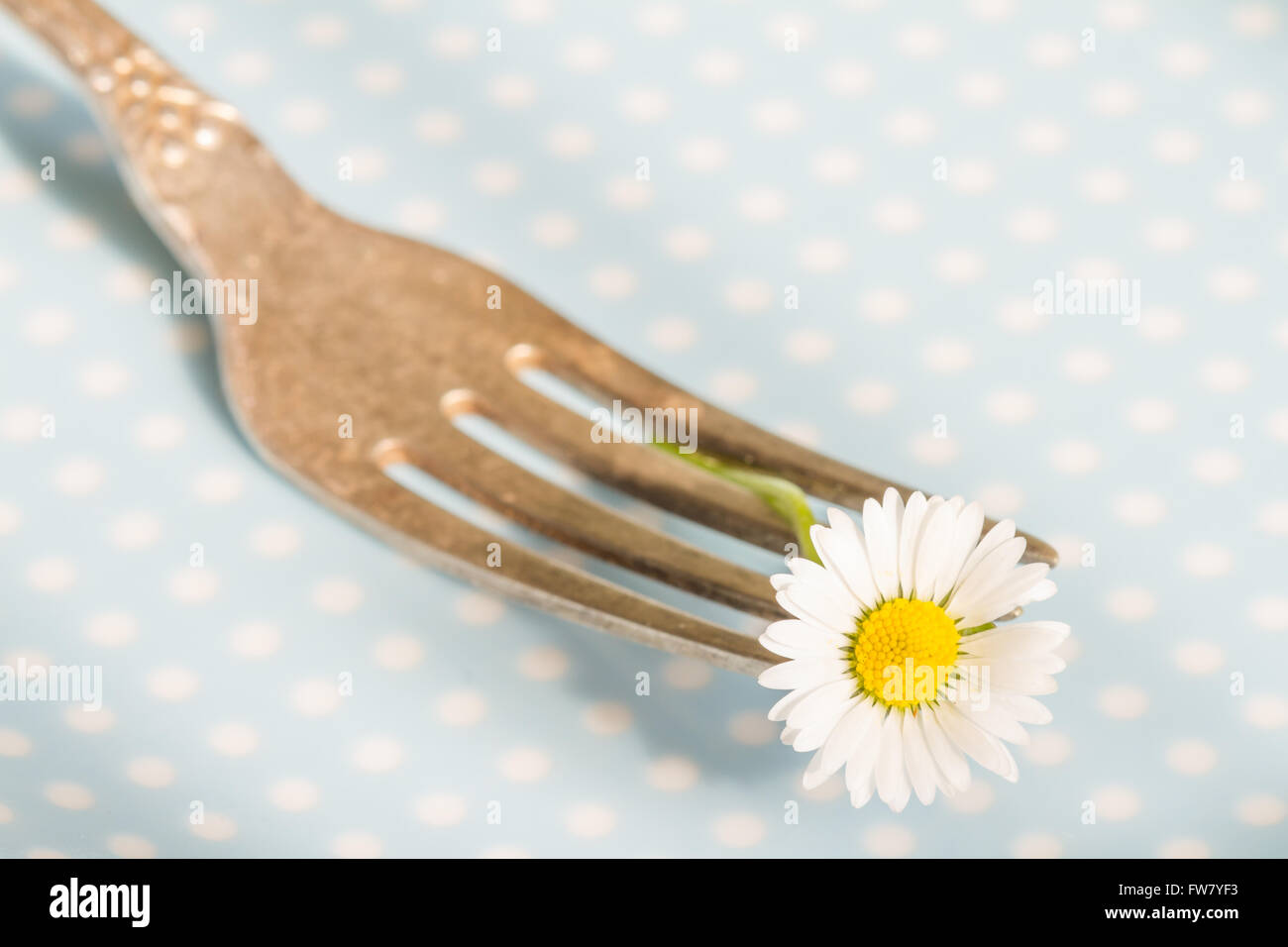 Frühling Essen abstrakten Hintergrund mit Daisy auf der Gabel-Nahaufnahme Stockfoto