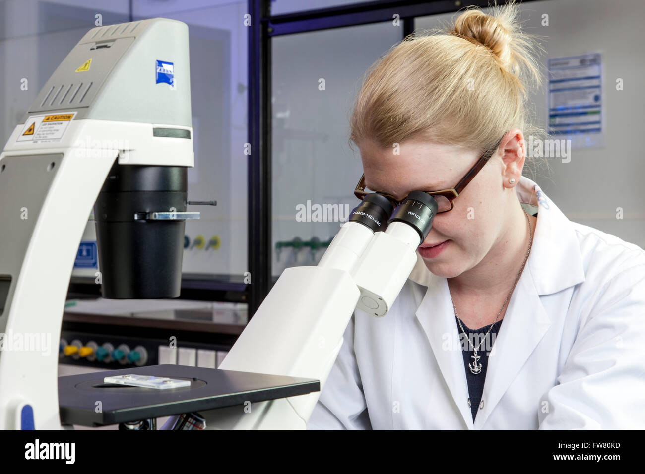 Wissenschaftler am Mikroskop. Stockfoto