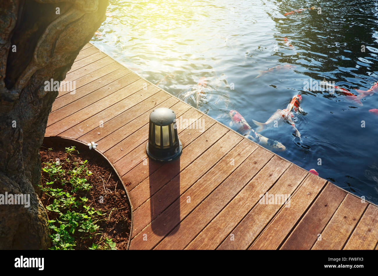Ein heller Sonnenstrahl am Koi Fischteich Stockfoto