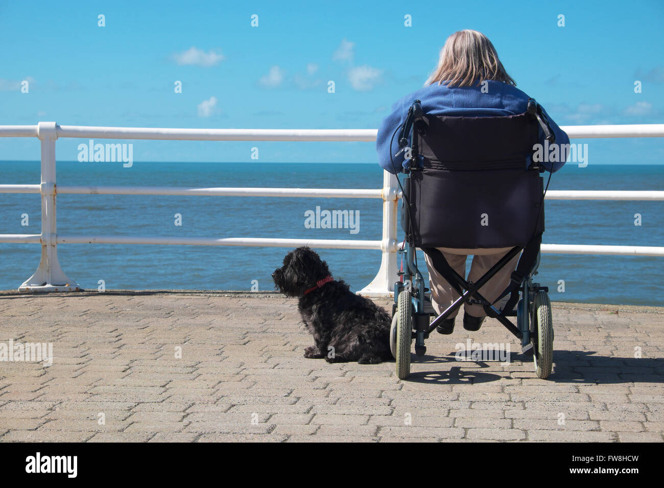 Behinderten Menschen in einem Rollstuhl mit einem Hund an der Meer-Küste mit Blick auf das Meer UK Stockfoto