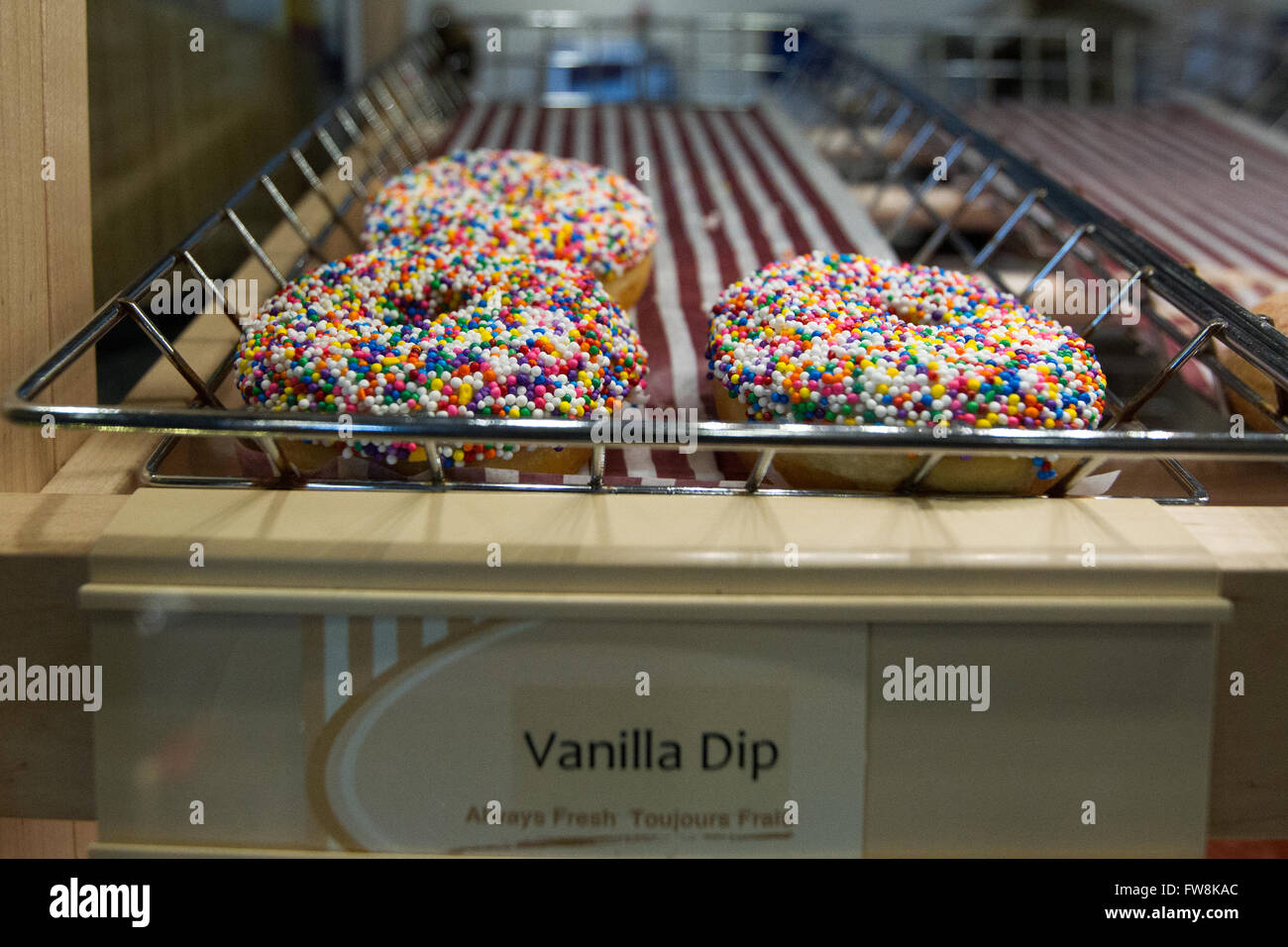 Tim Hortons Krapfen in der Tim Hortons Café in Napanee, Ontario, auf Samstag, 6. Februar 2016. Stockfoto