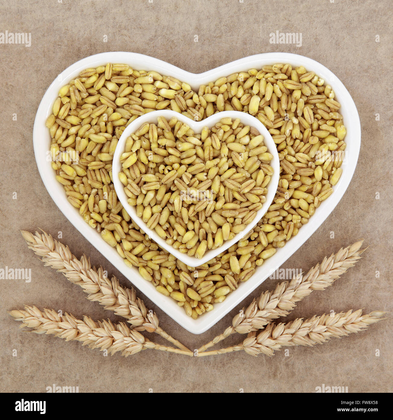 Kamut Khorasan Weizen Korn Bioladen im Herzen Porzellangeschirr mit Hüllen in braun Grunge Papierhintergrund geprägt. Stockfoto