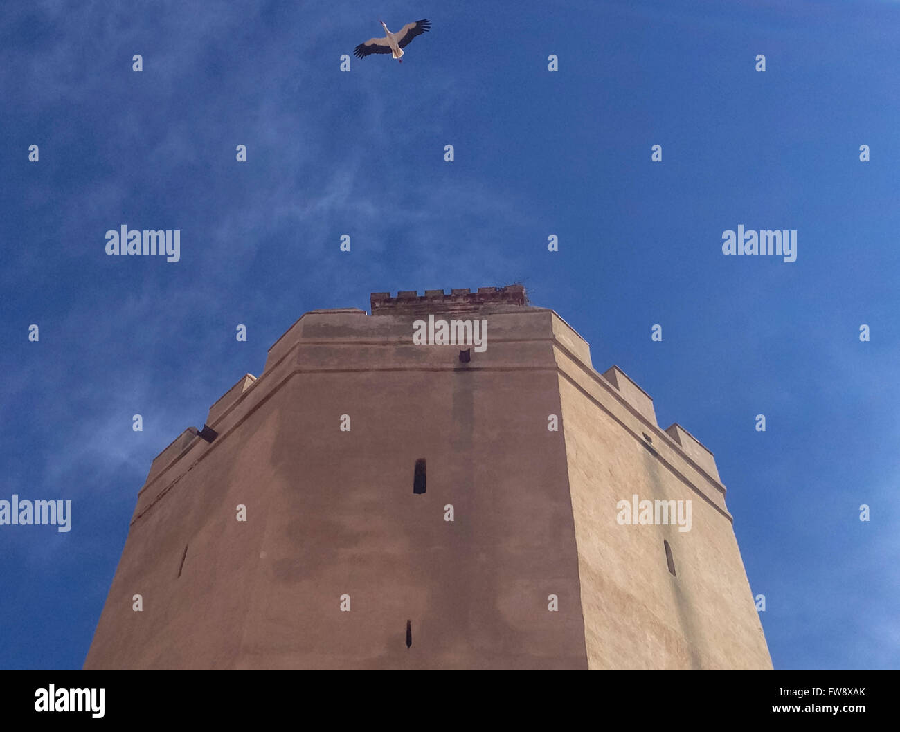 Espantaperros Turm mit fliegender Storch. Dieser Turm ist das herausragendste Albarran Türme der arabischen Zitadelle Badajoz Stockfoto
