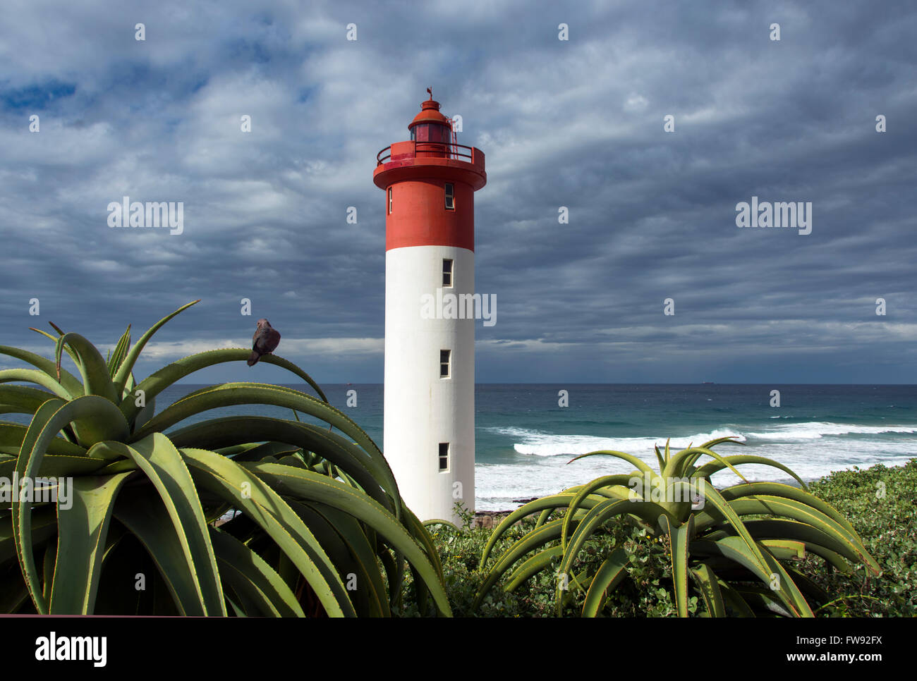 Rot-weiße Leuchtturm in Umhlanga Rocks, nördlich von Durban in KwaZulu Natal, Südafrika. Stockfoto