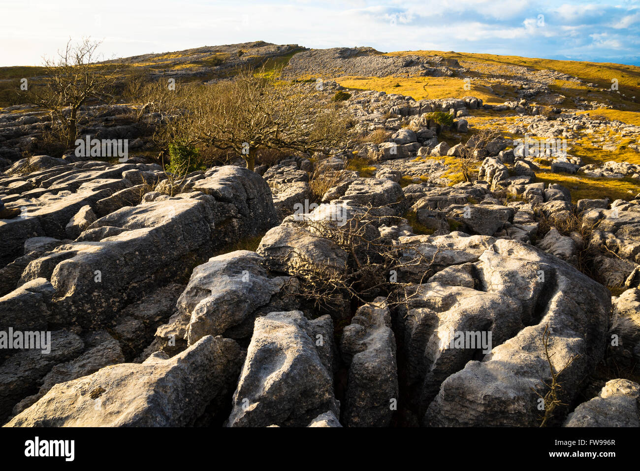 Kalkstein Pflaster auf Farleton fiel South Lakeland Cumbria Stockfoto
