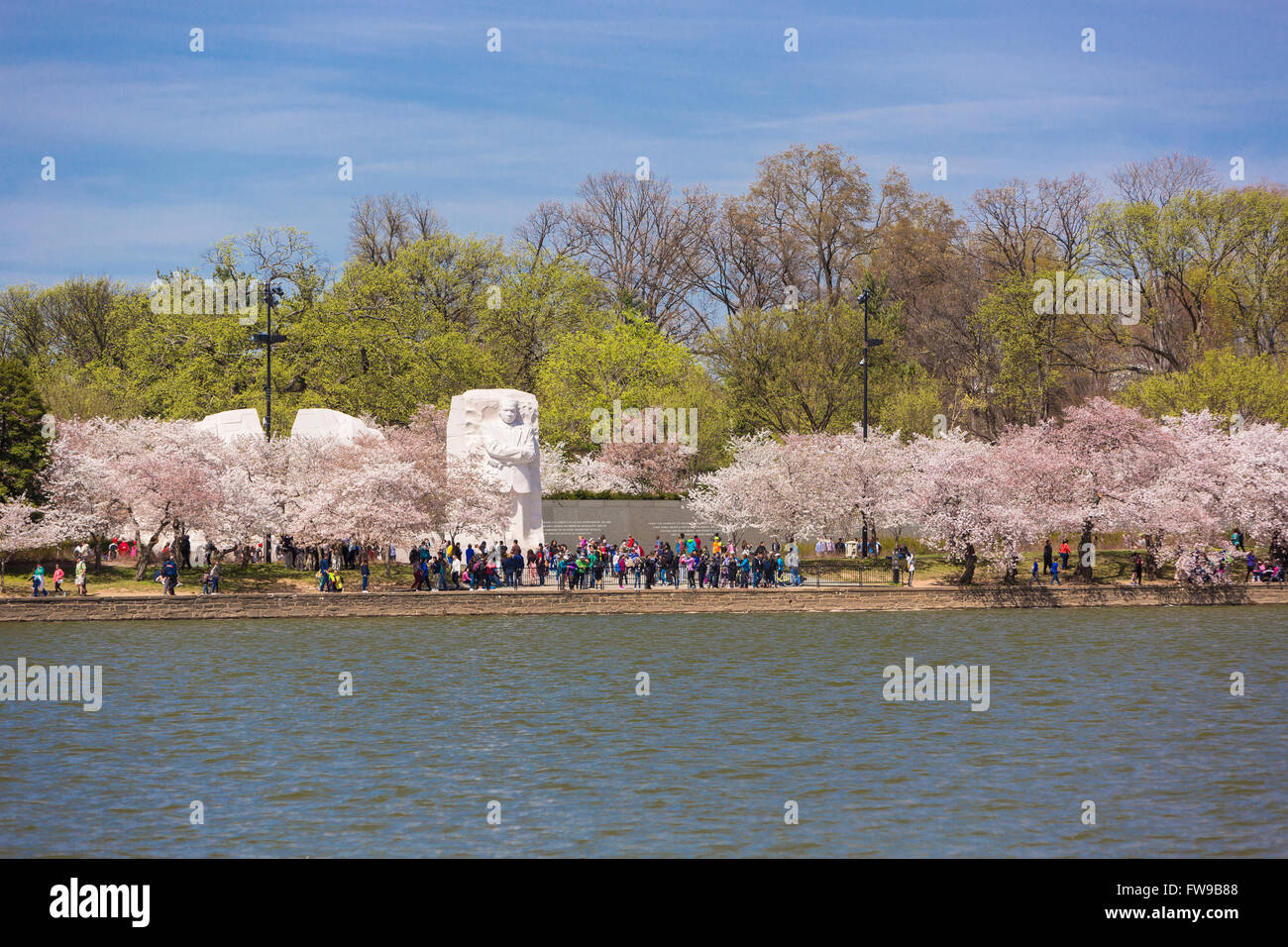 WASHINGTON, DC, USA - Martin Luther King, Jr. Memorial und Kirschbäume blühen am Tidal Basin. Stockfoto