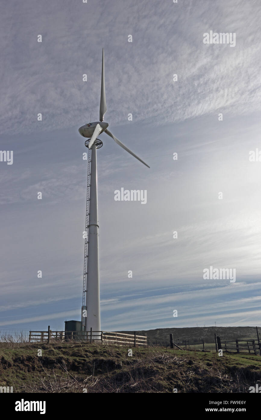 Wind trieb stromerzeugende Turbine in ländlicher Umgebung Stockfoto