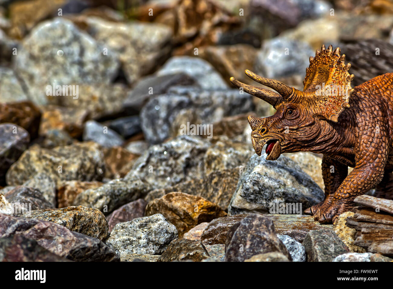 Braun Triceratops Dinosaurier zu Fuß zwischen den Felsen Stockfoto