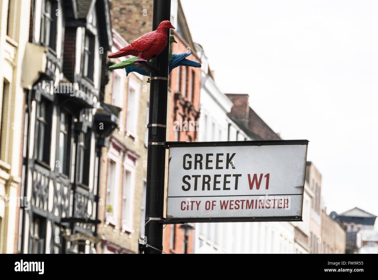 Patrick Murphy Tauben ruhen auf Straßenschild auf Griechisch Street London, UK Stockfoto