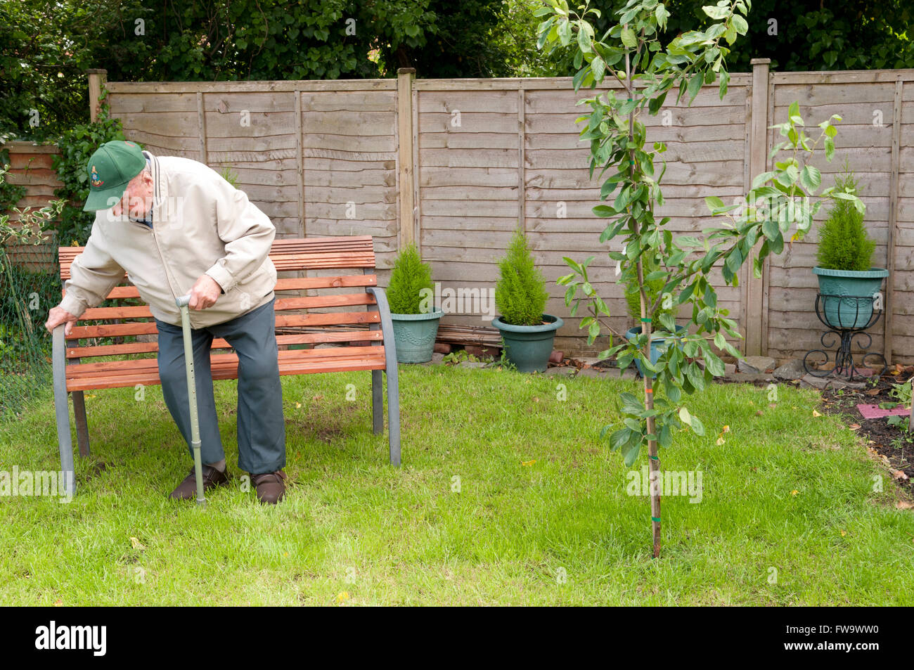 Älterer Mann kämpft sich auf Gartenbank Stockfoto