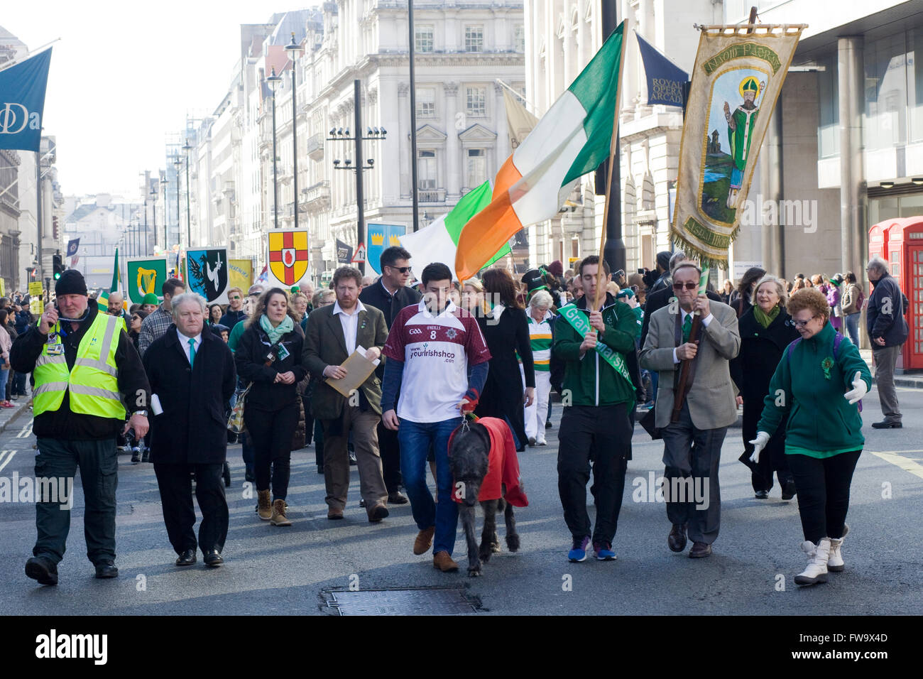 Irischer Wolfshund führt der St. Patricks Day Parade in London Stockfoto
