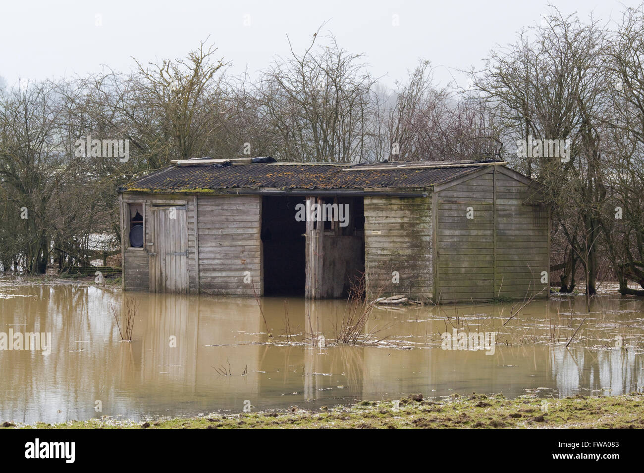 Alte hölzerne Ställe überschwemmt Stockfoto