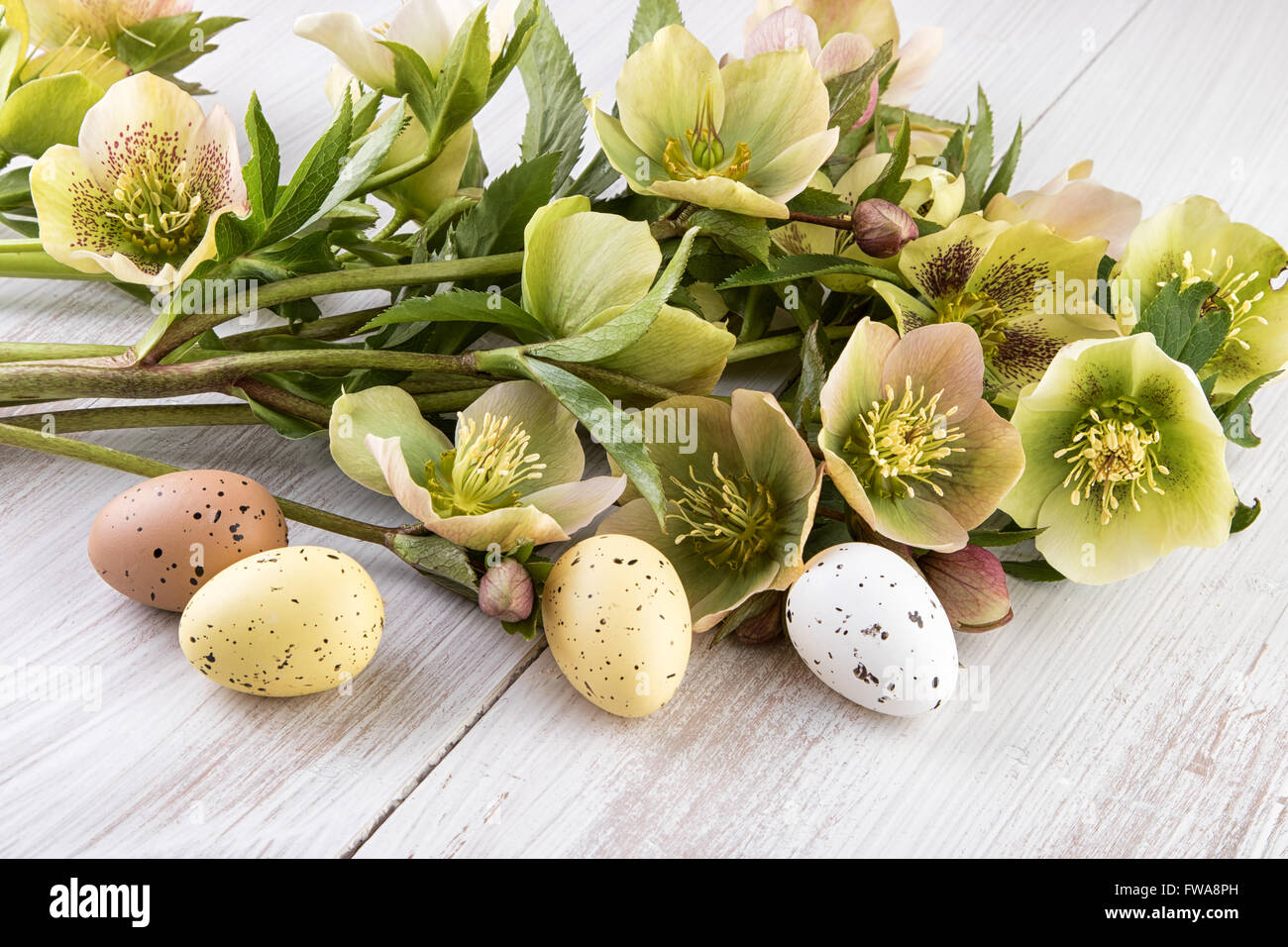 Ostern Dekoration Pastellfarben Blumen Stockfoto