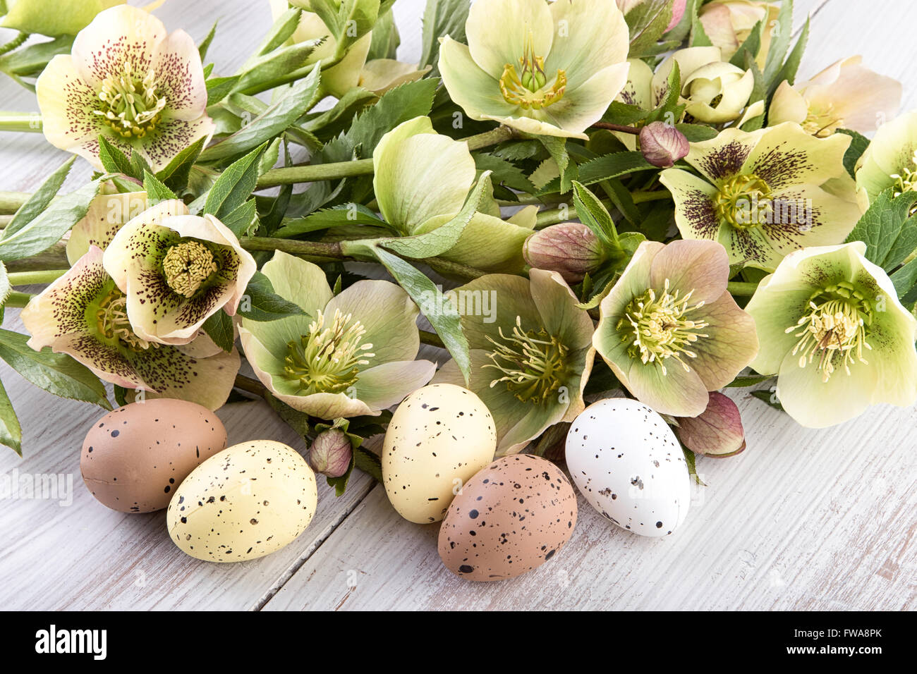 Ostern Dekoration-Pastell-Farben Stockfoto