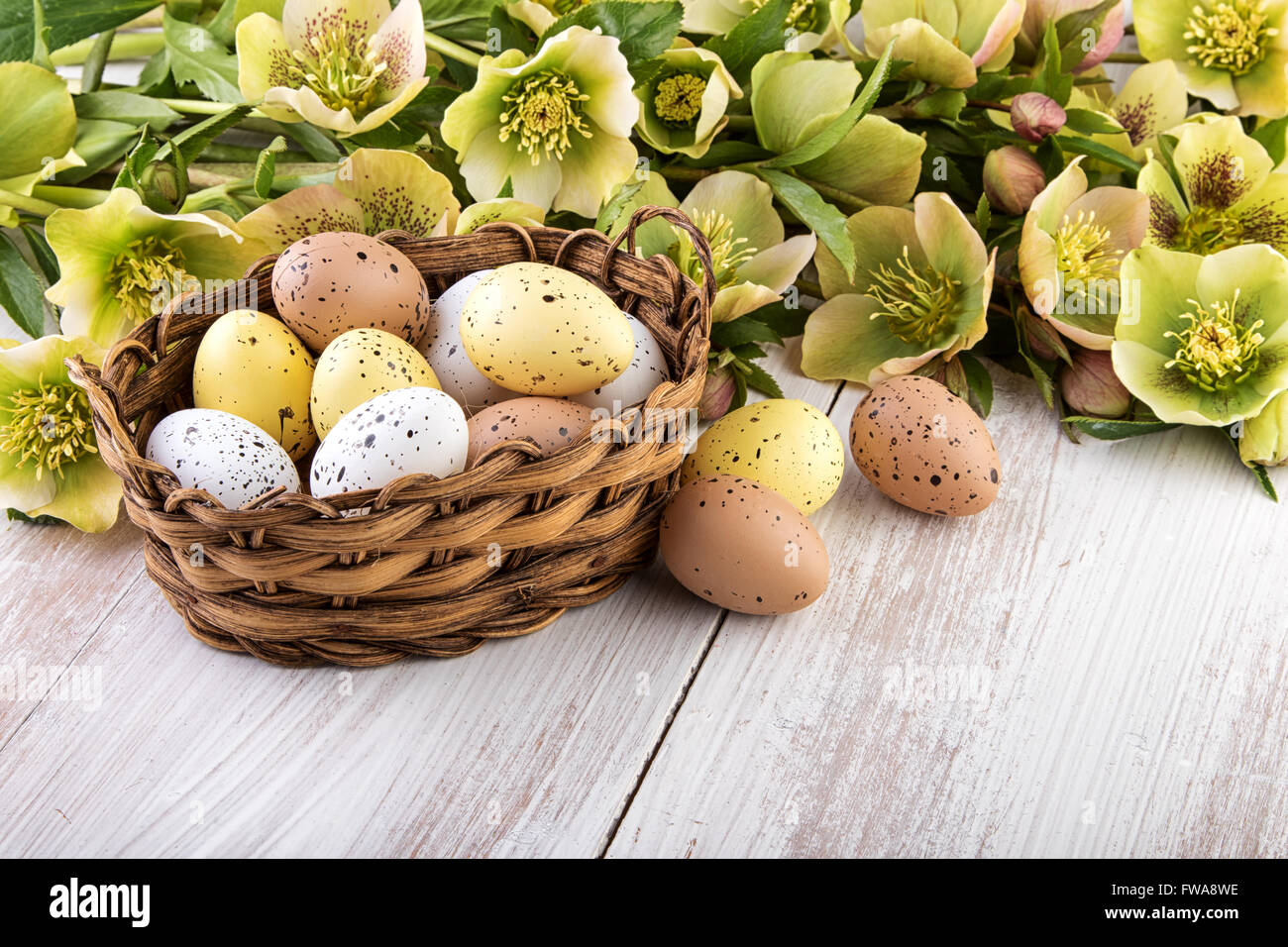 Ostereier Korb mit Frühling Blumen Pastell-Farben Stockfoto