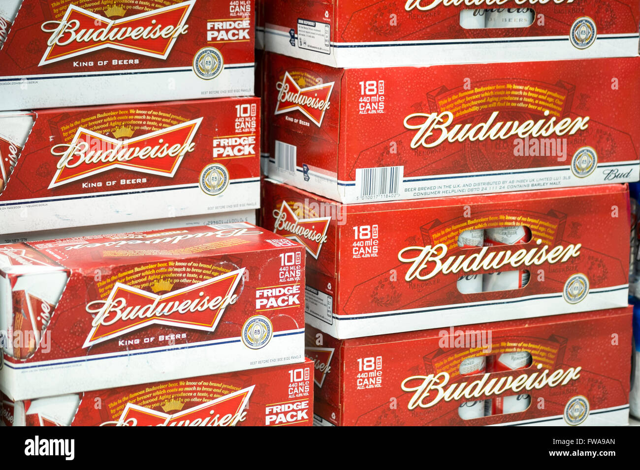 Budweiser Bier zum Verkauf in einem Geschäft, UK. Stockfoto
