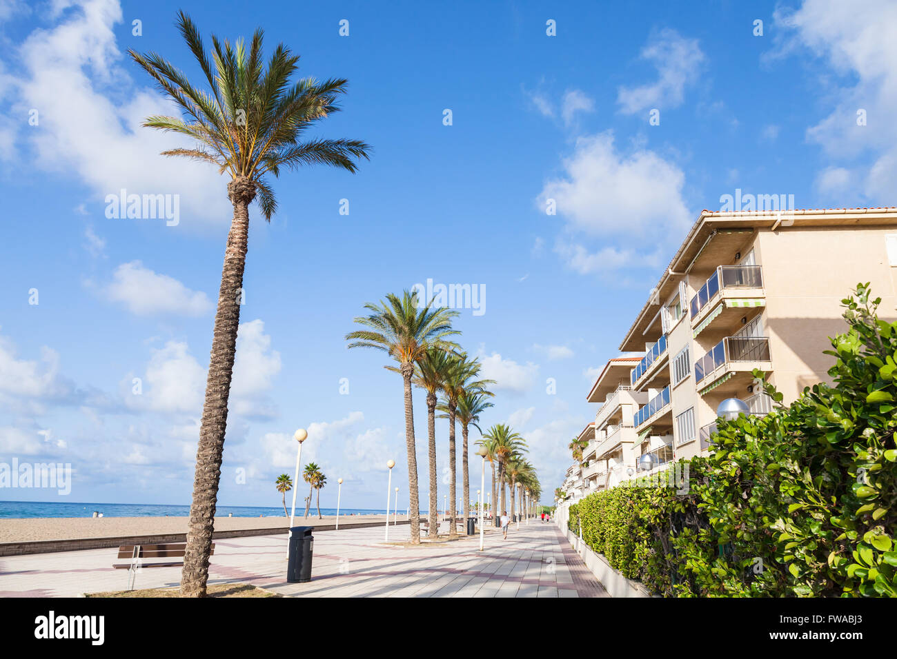 Coastal Straße mit Palmen. Calafell Ferienort am sonnigen Sommertag. Tarragona Region, Katalonien, Spanien Stockfoto