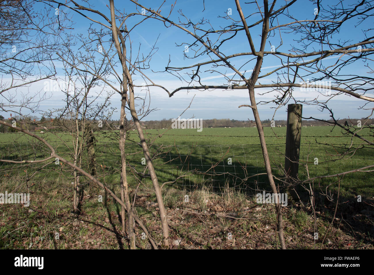 Die Neuentwicklung des Studios in den Pinewood Studios, Iver Heath, gebaut auf Green Belt Land, schnell wird ein "Schandfleck in der Landschaft". Stockfoto