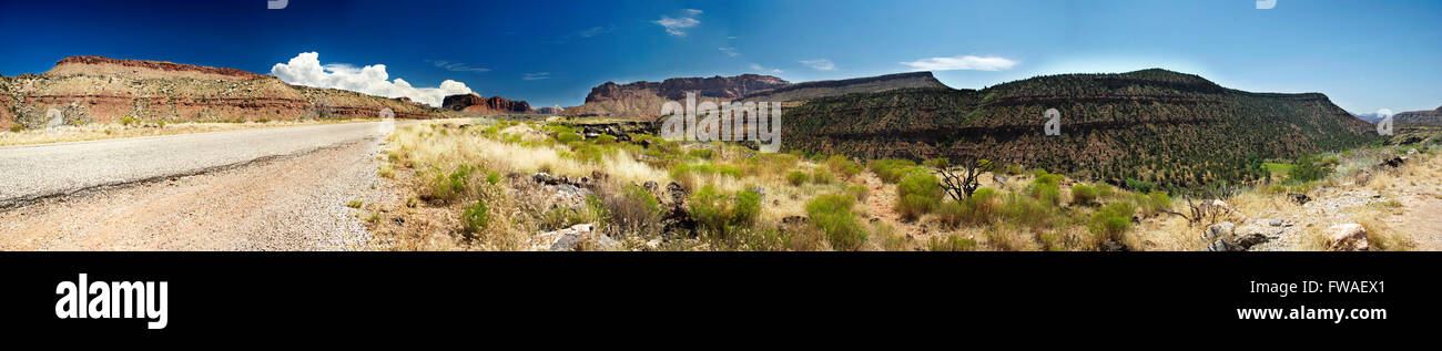 Panorama-Bild der Zion Nationalpark, Utah zeigt eine Straße auf der linken Seite Stockfoto