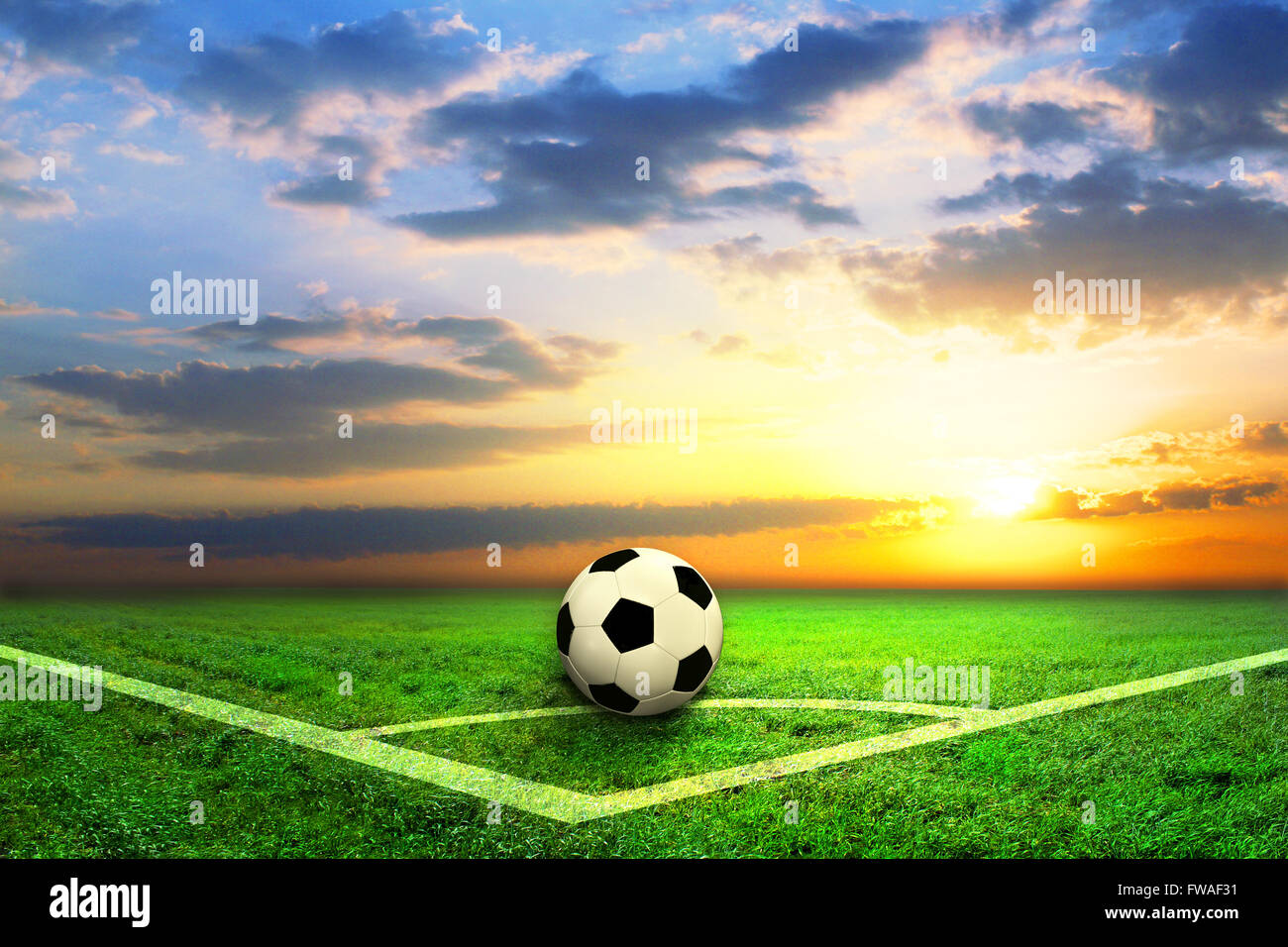 schwarze und weiße Fußball auf dem Feld Stockfoto