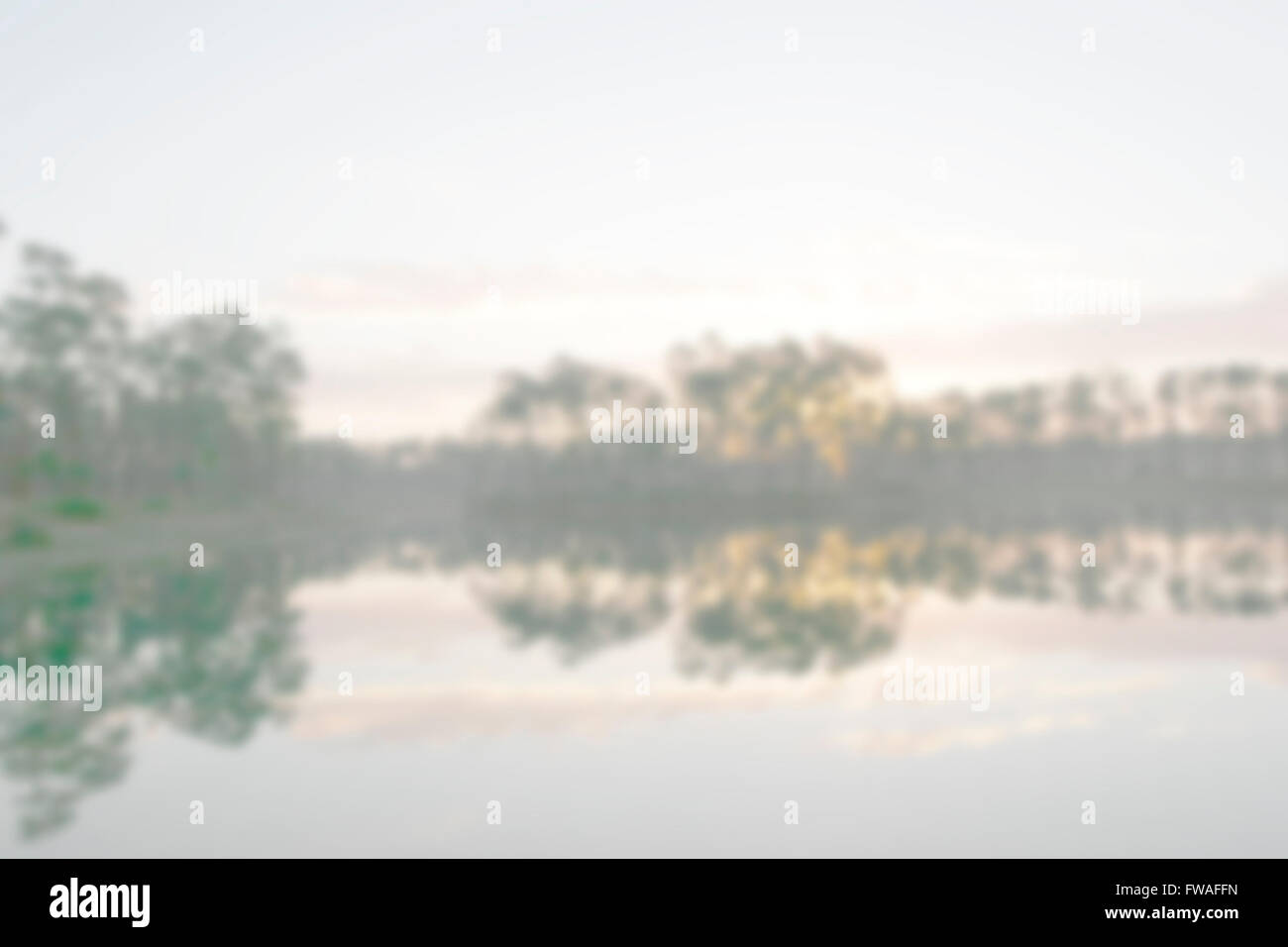 Verschwommene Everglades als Hintergrund Stockfoto