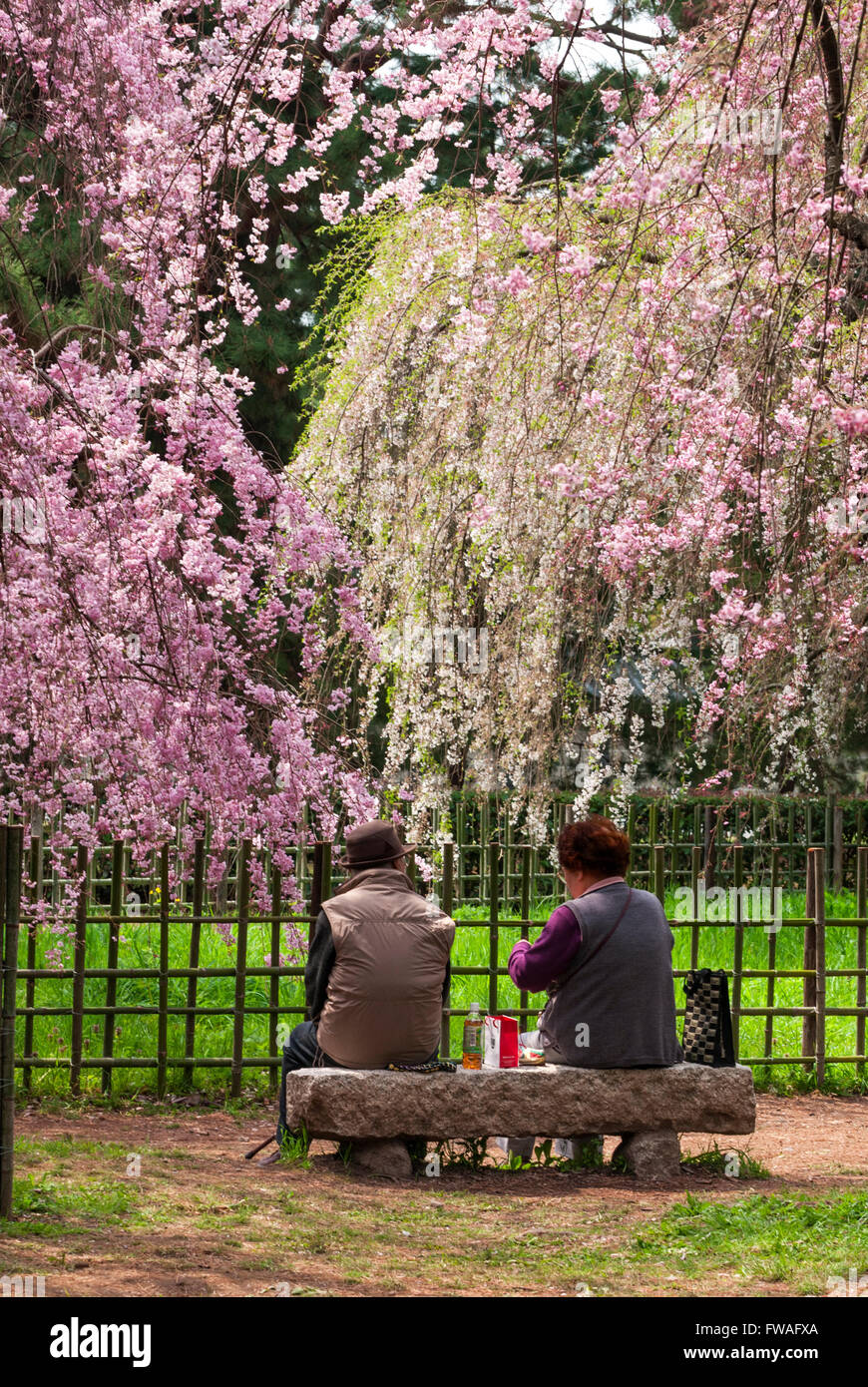Kyoto Imperial Palace war früher die Residenz der kaiserlichen Familie Japans bis 1868 Stockfoto