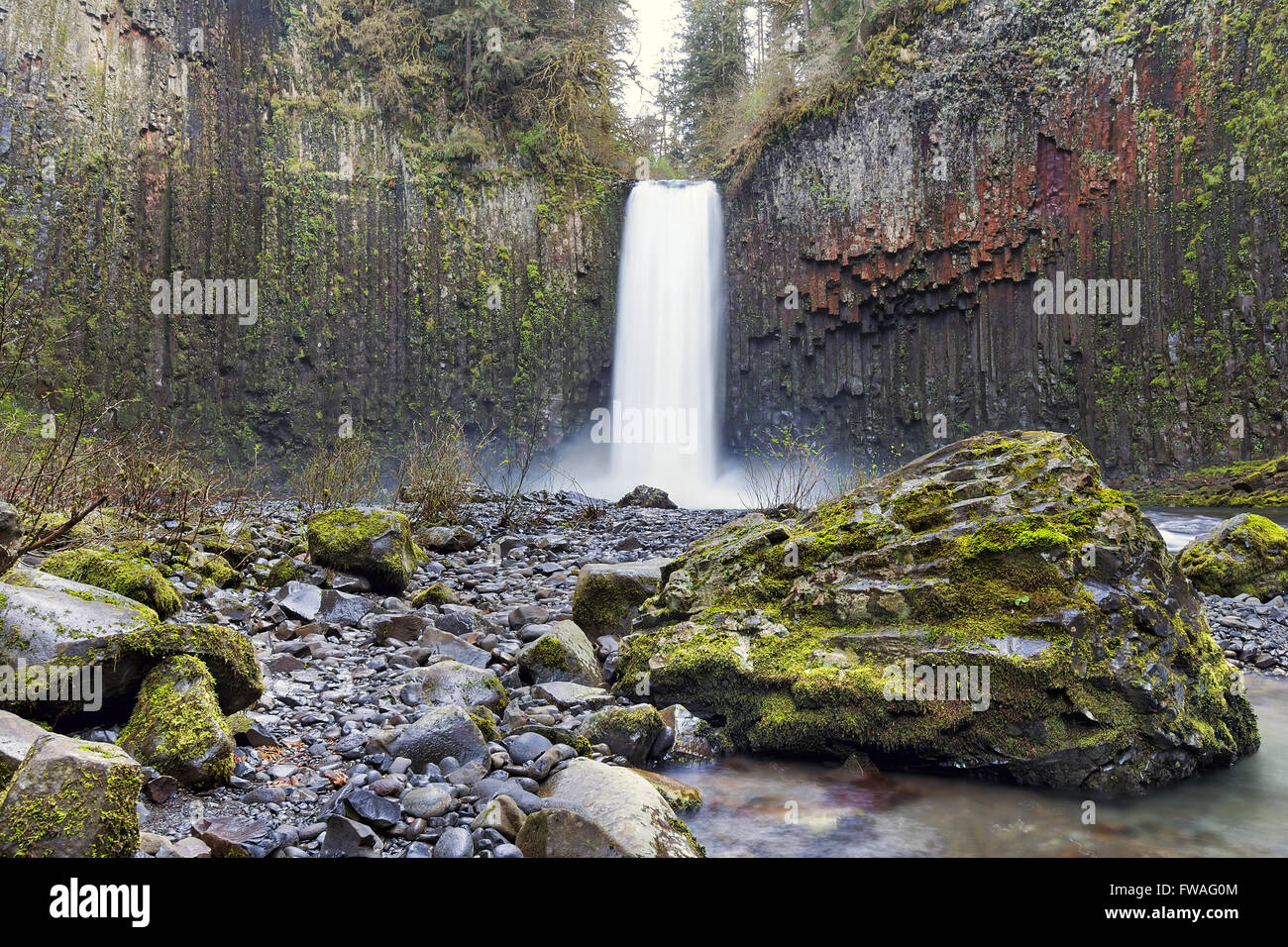 Abiqua fällt im Marion County Oregon während Frühjahrssaison Stockfoto