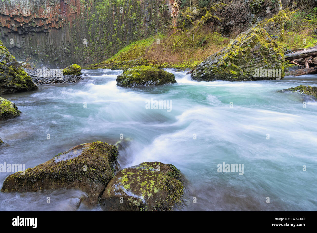 Abiqua Creek im Marion County Oregon im Frühling Stockfoto