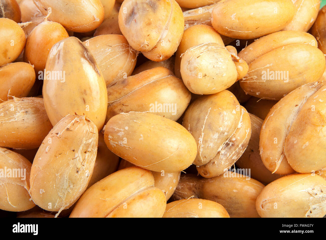 Salacca Obst und geschält Piled viele für Hintergrund Stockfoto