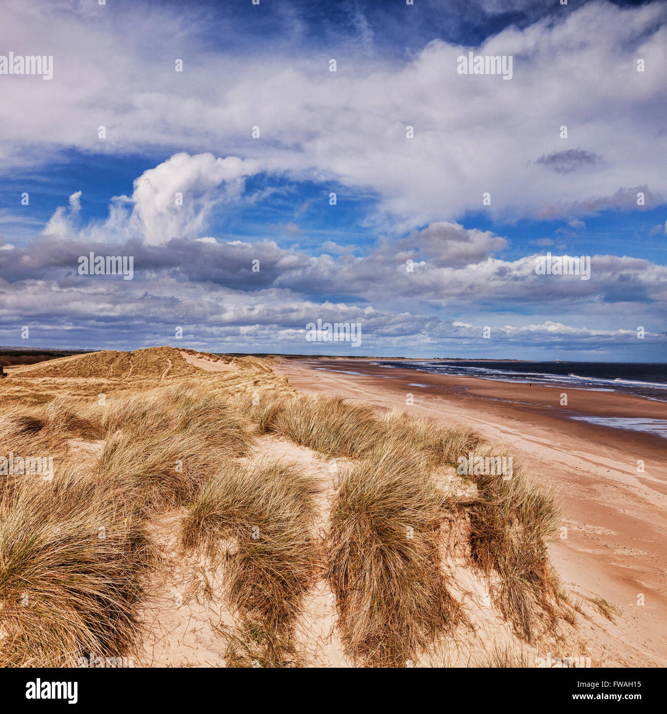 Dünen an der Druridge Bucht, Northumberland, England, UK Stockfoto