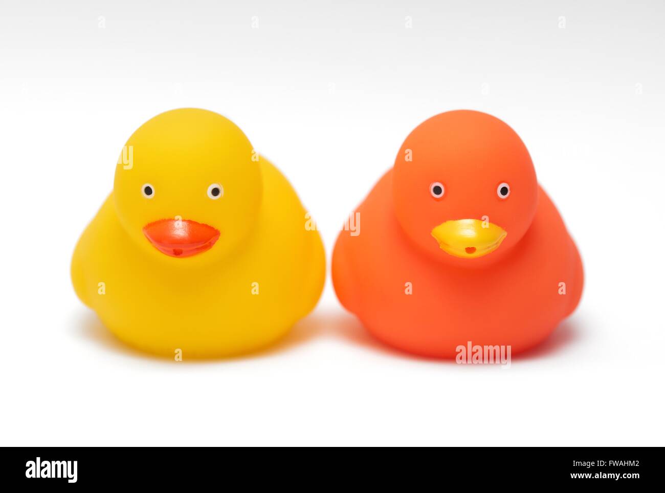 Zwei Badezeit Spielzeug Enten Stockfoto