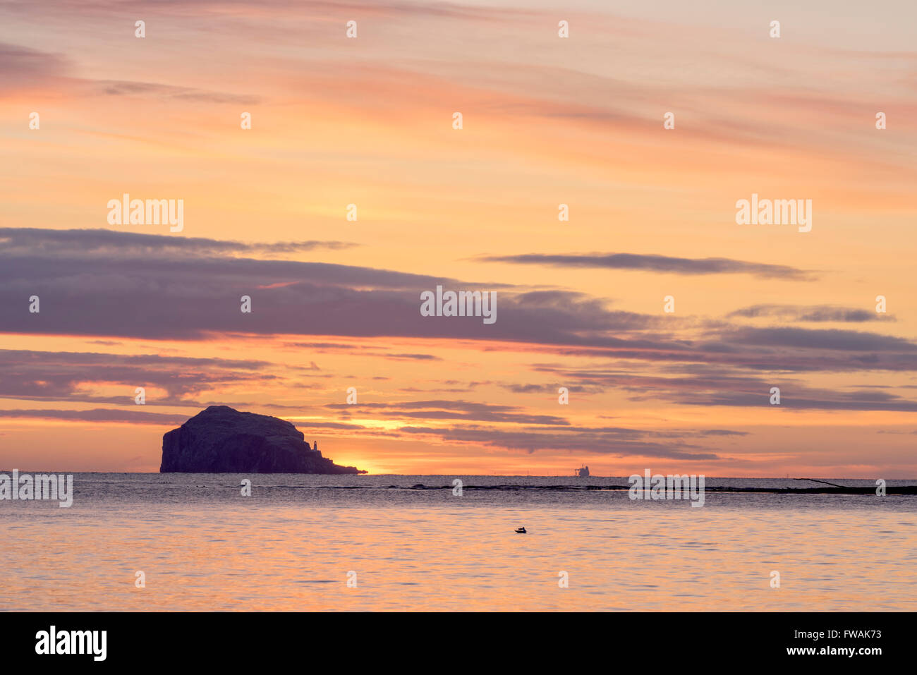 Sonnenaufgang über dem Bass Rock, East Lothian, Schottland, 29. März 2016 Stockfoto