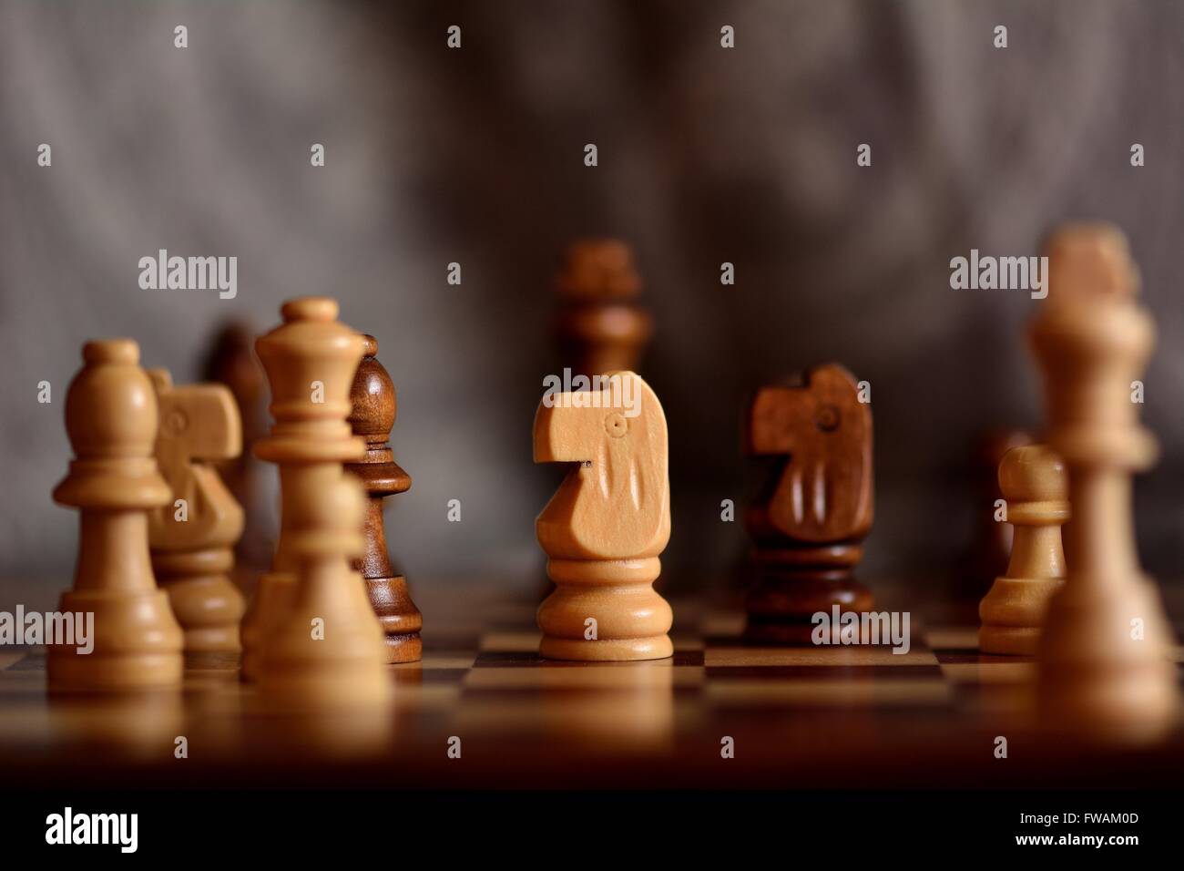 Holz Schachfiguren an Bord. Schachfiguren an Bord während des Spiels, mit Fokus auf weißer Ritter und bokeh Stockfoto