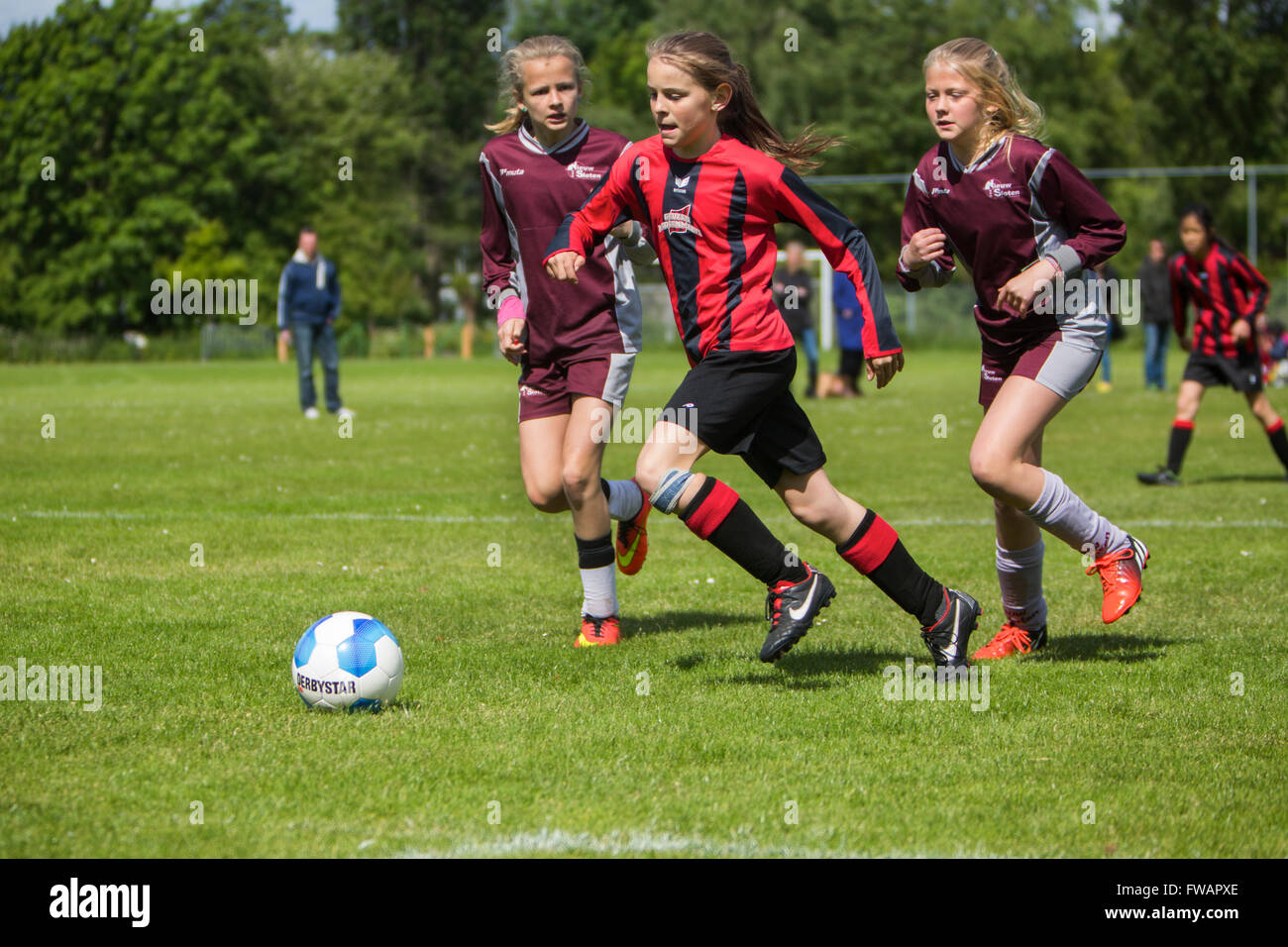 Mädchen spielen Fußball in den Niederlanden Stockfoto
