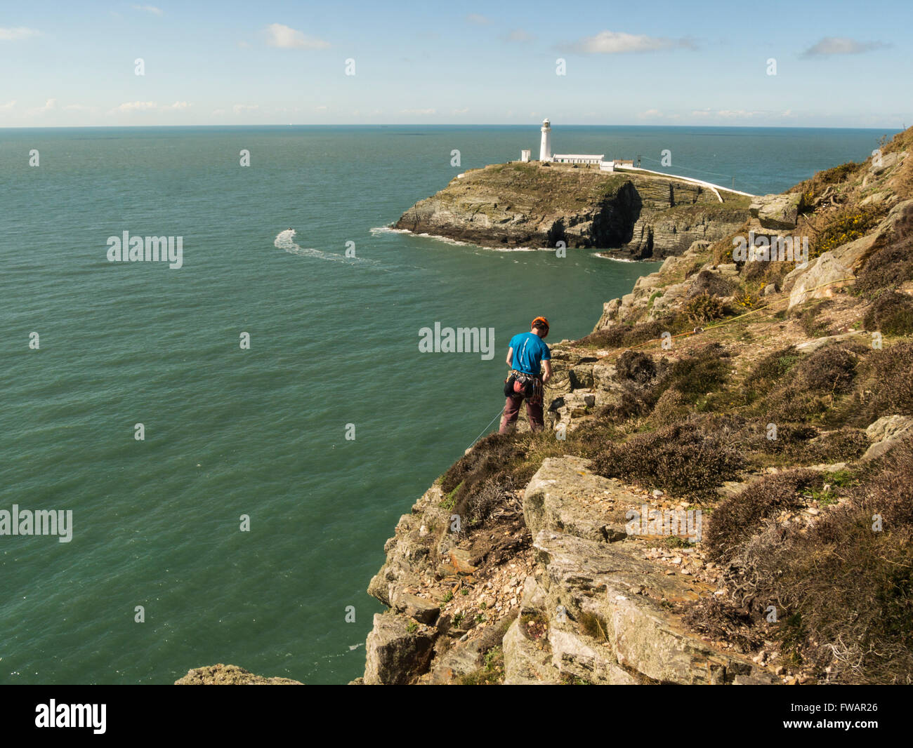 Männliche Bergsteiger Anseilen South Stack Klippen Isle of Anglesey Nord-Wales beeindruckend und abenteuerlichen Klettererlebnis herab Stockfoto