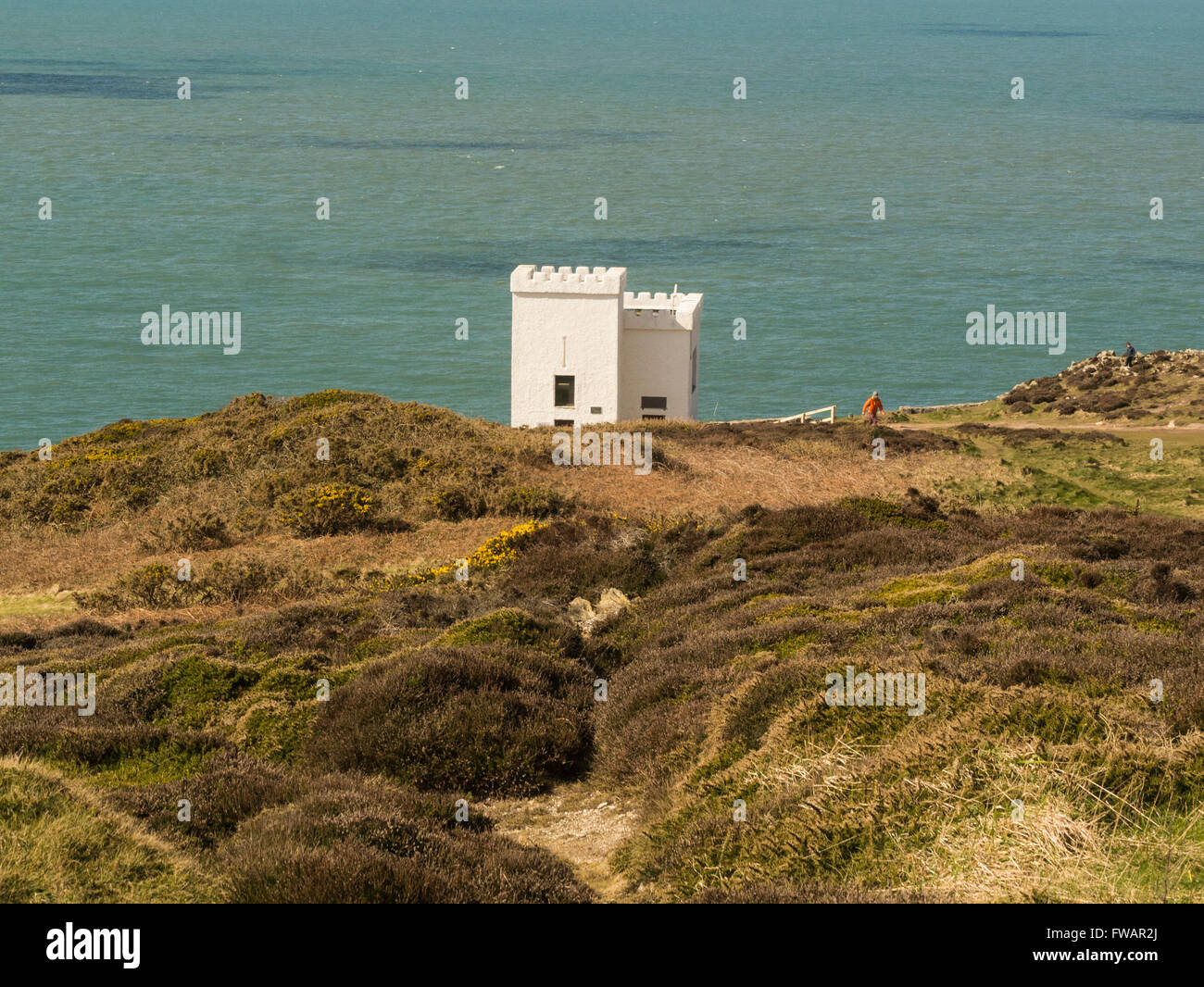 ELINs Turm RSPB South Stack Klippen Bird Reserve Informationen Zentrum Isle of Anglesey North Wales eine börsennotierte Torheit über South Stack Klippen Stockfoto