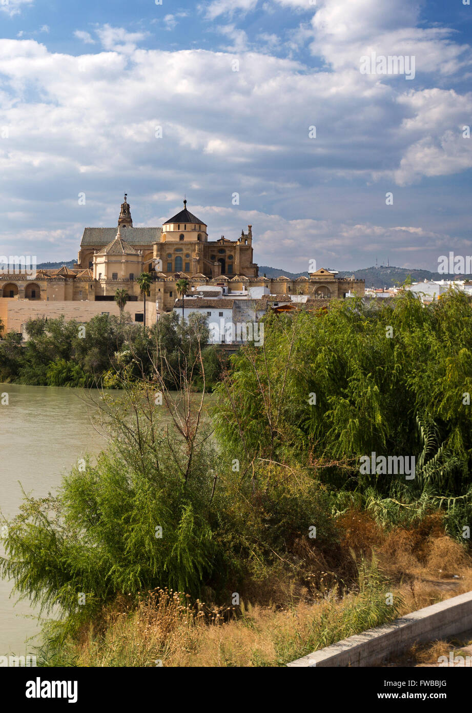 Blick auf die Moschee-Kathedrale von Córdoba aus dem südlichen Ufer des Flusses Guadalquivir in Spanien gesehen. Stockfoto