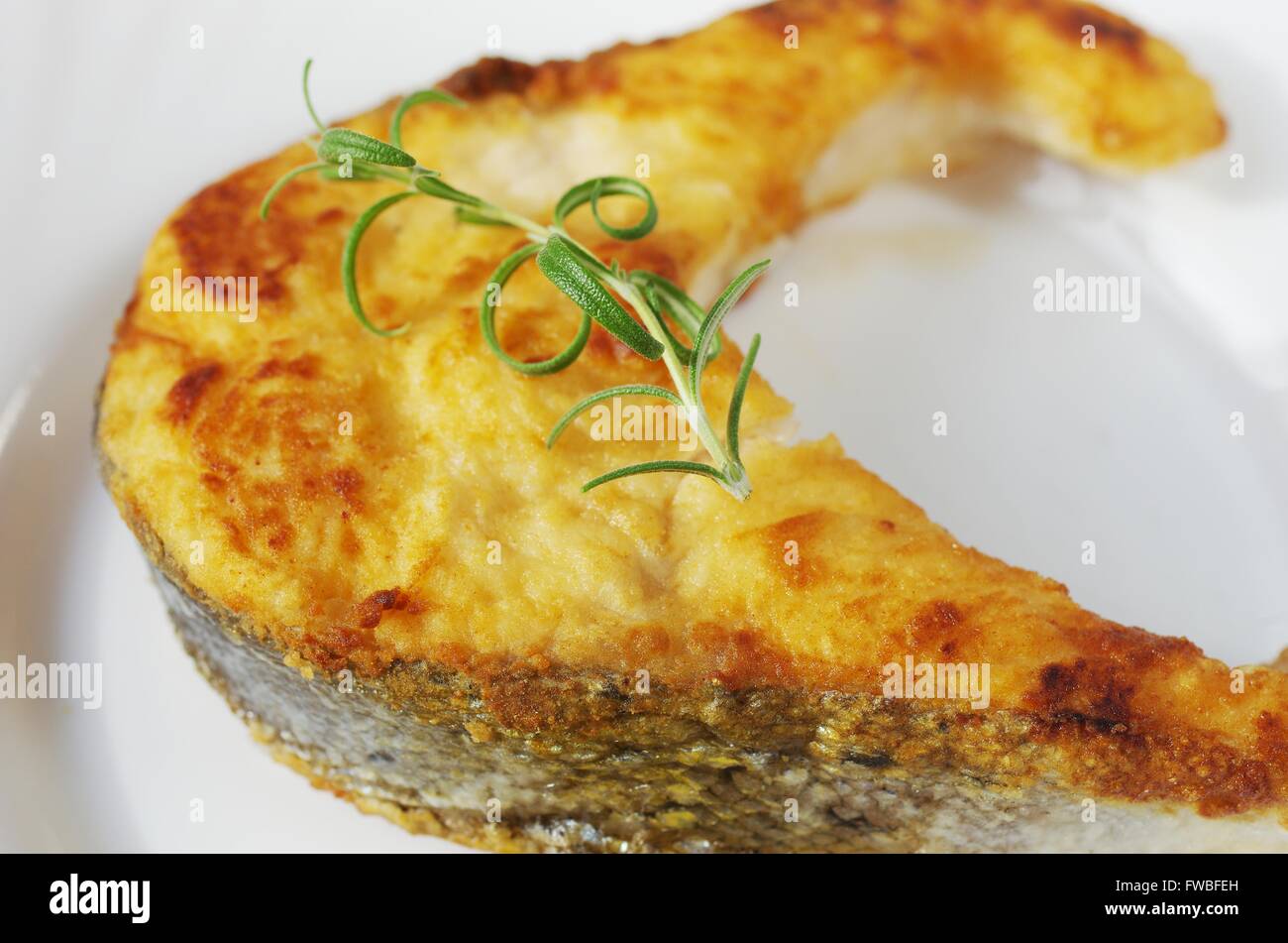 Gebratener Lachs mit Rosmarin auf weißen Teller Stockfoto