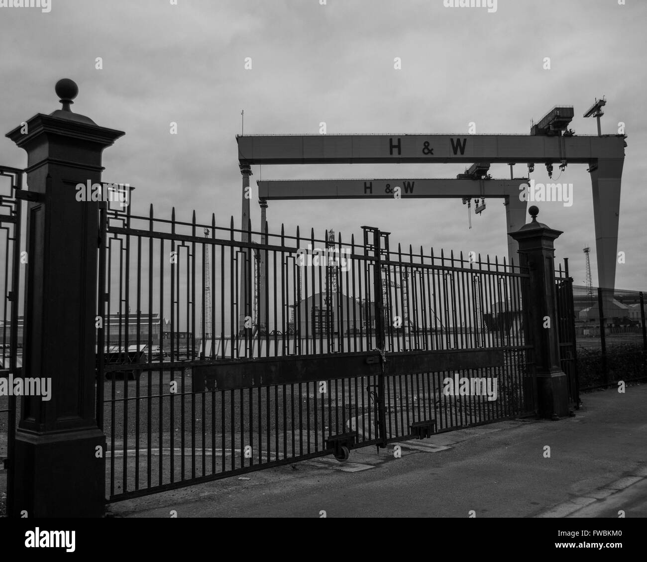 Die riesige Kräne der Werft Harland und Wolff in Belfast. Stockfoto