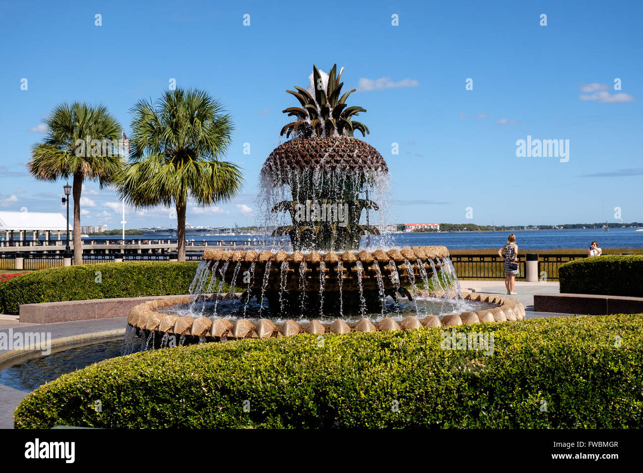 Die Ananas-Brunnen im Waterfront Park, Charleston, South Carolina, USA Stockfoto