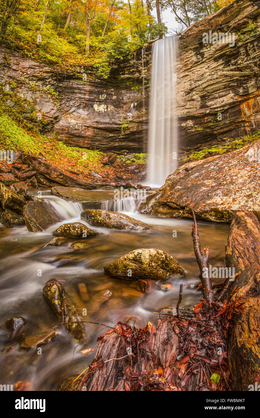 Farben des Herbstes zu Beginn bei niedriger fällt der Hügel Creek, West Virginia, der höchste Wasserfall in dem Staat zu zeigen. Stockfoto