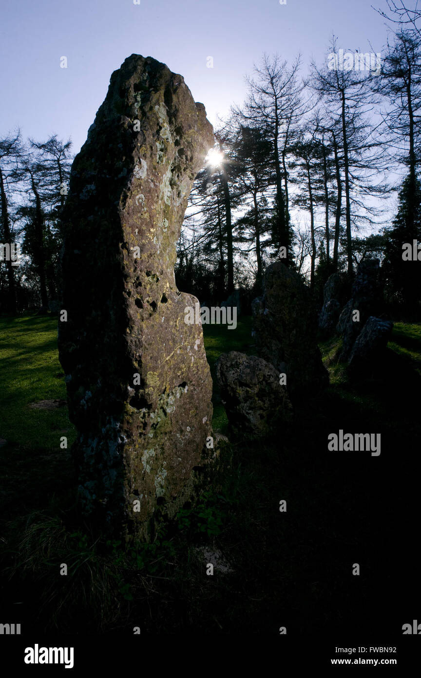 Der Steinkreis und Einzelsteine bekannt als die "Rollright Stones", ein Steinkreis der Jungsteinzeit auf einem Hügel in Oxfordshire, UK. Der Steinkreis wird berichtet, dass durch den Menschen etwa 12:00 vorgenommen wurden. Stockfoto