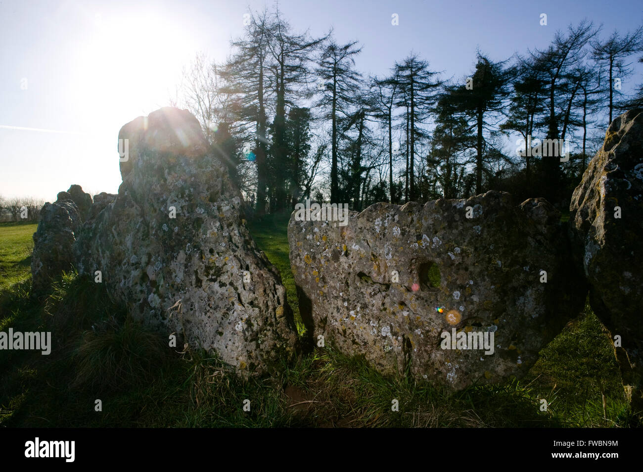 Der Steinkreis und Einzelsteine bekannt als die "Rollright Stones", ein Steinkreis der Jungsteinzeit auf einem Hügel in Oxfordshire, UK. Der Steinkreis wird berichtet, dass durch den Menschen etwa 12:00 vorgenommen wurden. Stockfoto