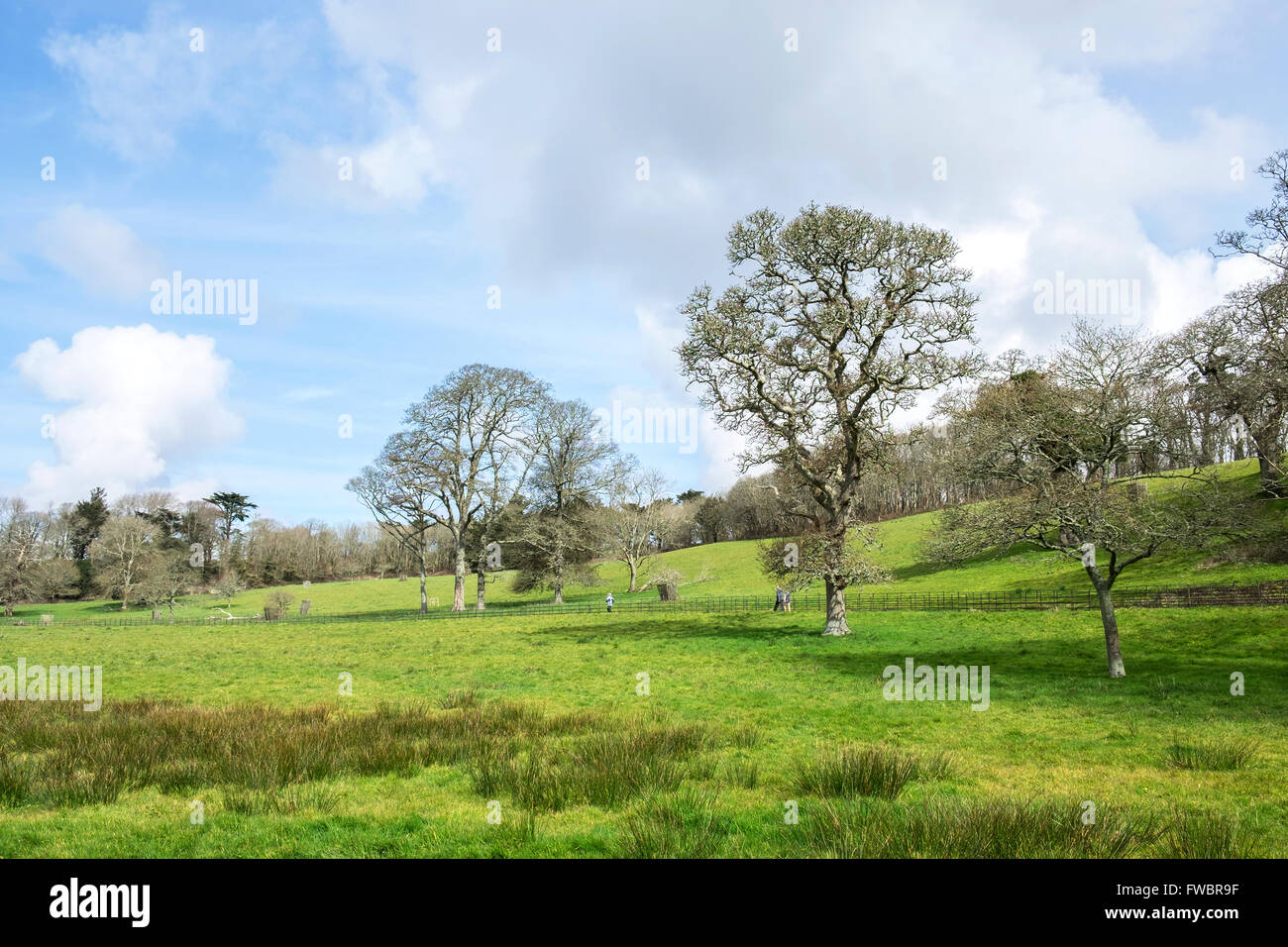 Penrose Estate in der Nähe von Helston in Cornwall, Großbritannien Stockfoto