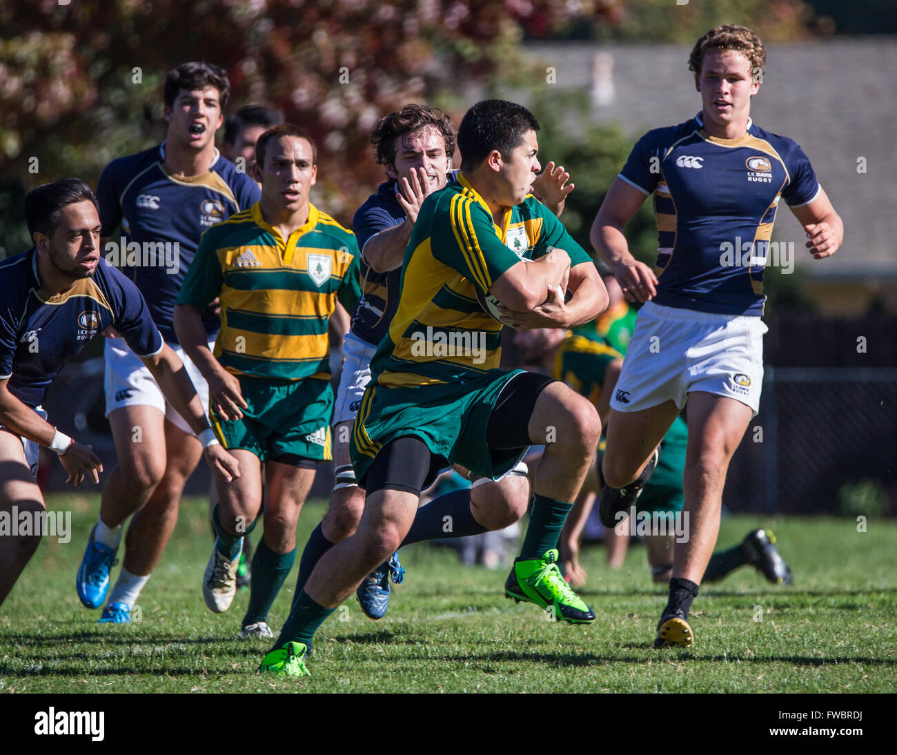 Rugby-Aktion in Redding, Kalifornien an einem Herbsttag. Stockfoto