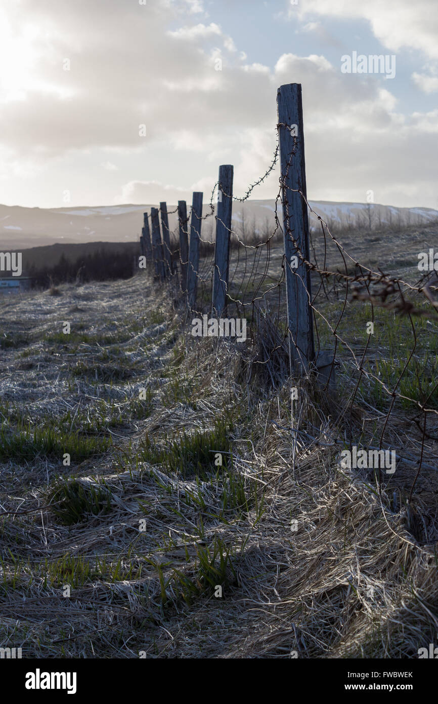 alten Zaun in Hveragerdi, Island Stockfoto