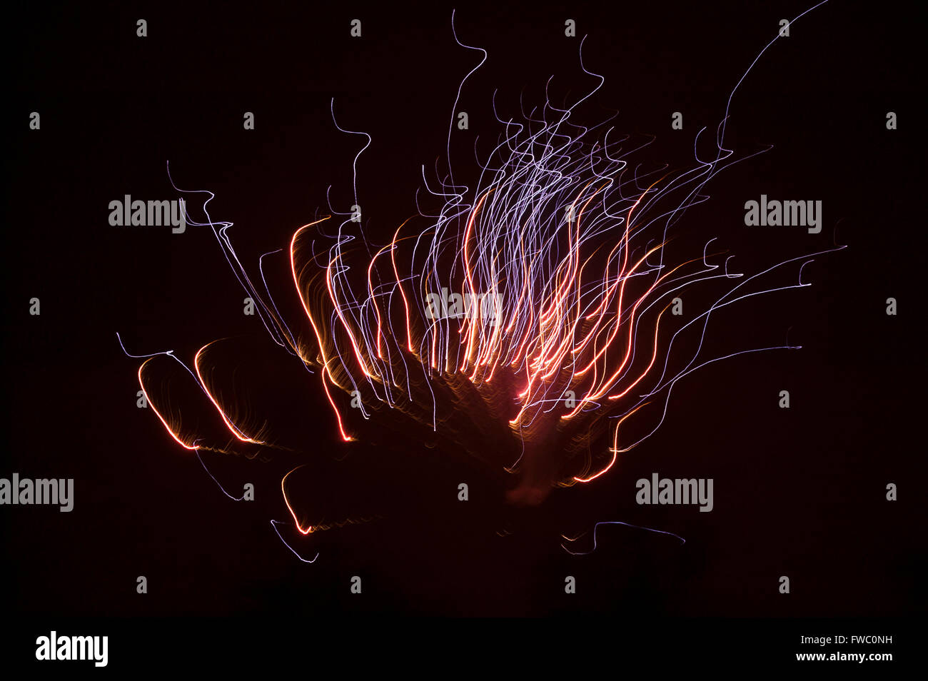 Feuerwerk Stockfoto