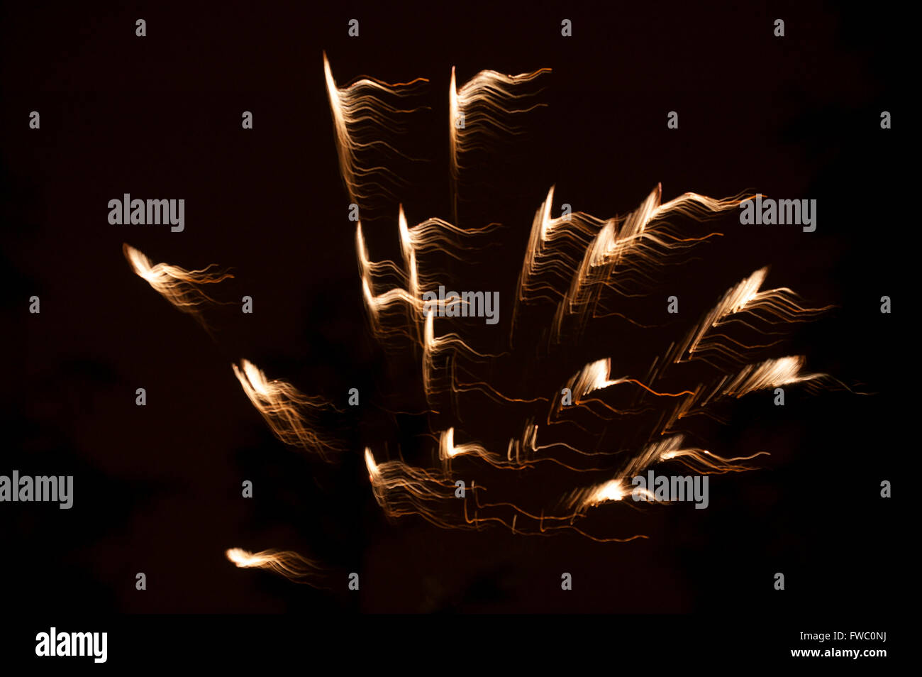 Feuerwerk Stockfoto