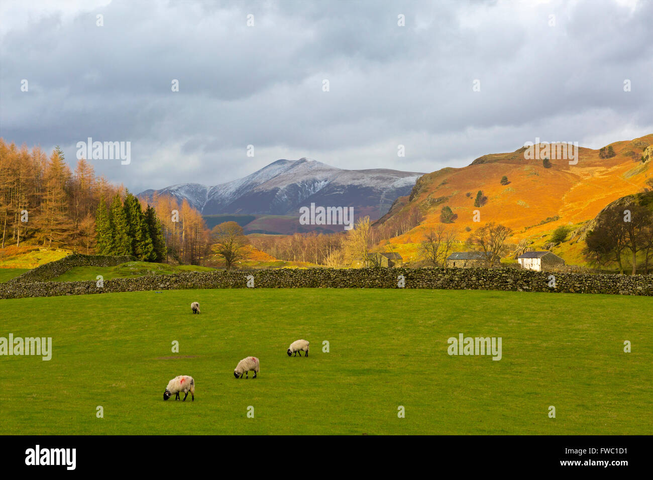 Blick in Richtung Blencathra Seenplatte Stockfoto